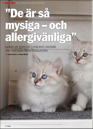 aftonbladet_sondag-20170827_000_00_00_066.pdf