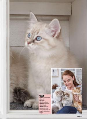 aftonbladet_sondag-20170827_000_00_00_067.pdf