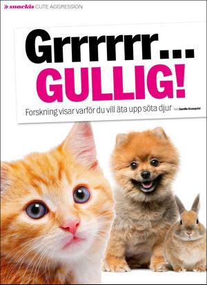 aftonbladet_sondag-20170903_000_00_00_028.pdf