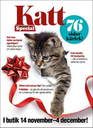 aftonbladet_sondag-20171029_000_00_00_072.pdf