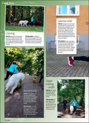 aftonbladet_sondag-20171105_000_00_00_028.pdf