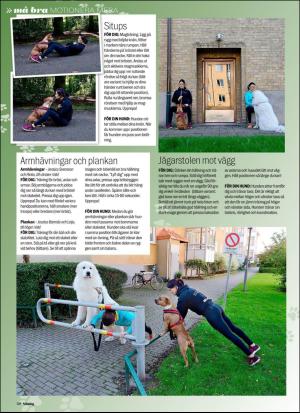 aftonbladet_sondag-20171105_000_00_00_030.pdf