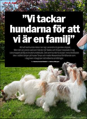 aftonbladet_sondag-20171203_000_00_00_012.pdf