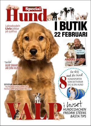 aftonbladet_sondag-20180218_000_00_00_076.pdf