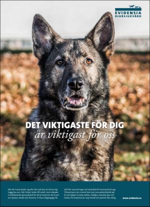 aftonbladet_sondag-20180304_000_00_00_019.pdf