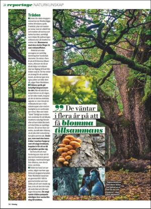 aftonbladet_sondag-20180722_000_00_00_036.pdf