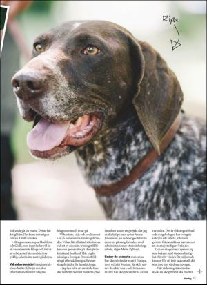 aftonbladet_sondag-20180729_000_00_00_013.pdf