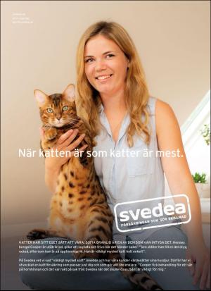 aftonbladet_sondag-20181028_000_00_00_057.pdf