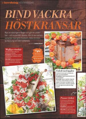 aftonbladet_sondag-20181028_000_00_00_076.pdf