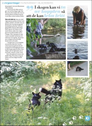 aftonbladet_sondag-20190303_000_00_00_012.pdf