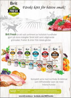 aftonbladet_sondag-20190303_000_00_00_015.pdf