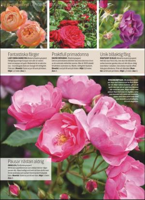 aftonbladet_sondag-20200426_000_00_00_084.pdf