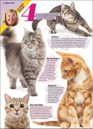 aftonbladet_sondag-20200510_000_00_00_016.pdf