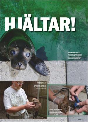 aftonbladet_sondag-20200531_000_00_00_081.pdf