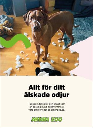 aftonbladet_sondag-20200705_000_00_00_038.pdf
