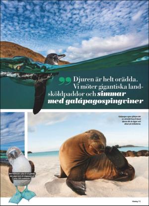aftonbladet_sondag-20200823_000_00_00_091.pdf