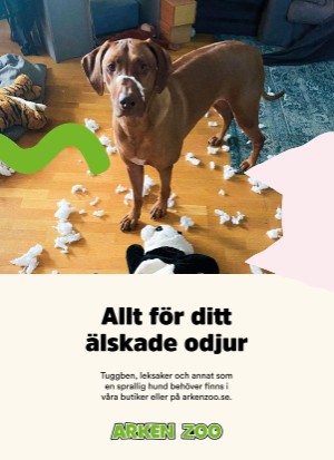 aftonbladet_sondag-20201122_000_00_00_034.pdf