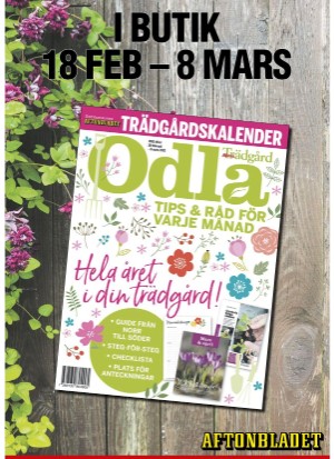 aftonbladet_sondag-20210221_000_00_00_085.pdf