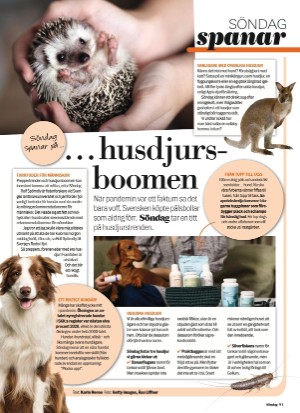 aftonbladet_sondag-20210228_000_00_00_091.pdf