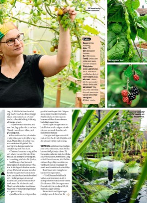 aftonbladet_sondag-20210328_000_00_00_019.pdf