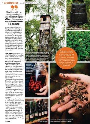 aftonbladet_sondag-20210328_000_00_00_020.pdf