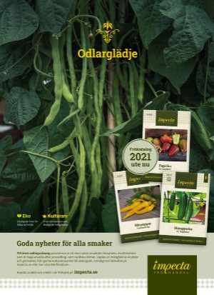 aftonbladet_sondag-20210328_000_00_00_021.pdf