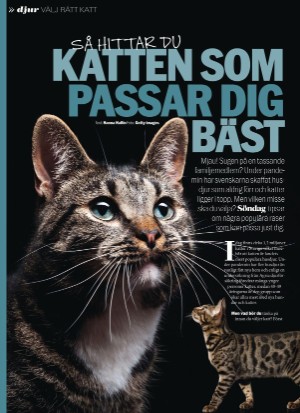 aftonbladet_sondag-20210509_000_00_00_010.pdf