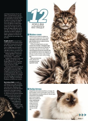 aftonbladet_sondag-20210509_000_00_00_011.pdf