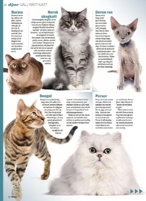 aftonbladet_sondag-20210509_000_00_00_012.pdf