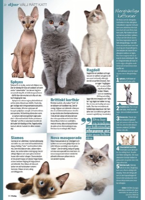 aftonbladet_sondag-20210509_000_00_00_014.pdf