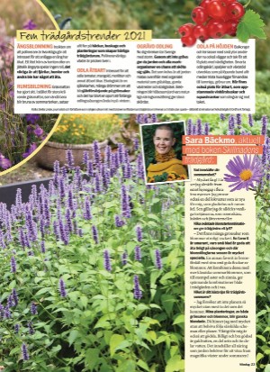 aftonbladet_sondag-20210509_000_00_00_023.pdf