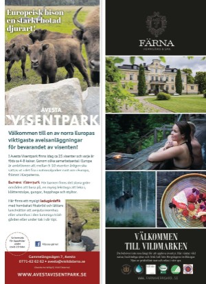 aftonbladet_sondag-20210620_000_00_00_091.pdf