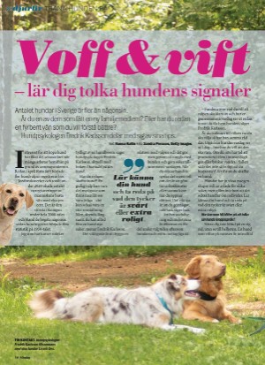 aftonbladet_sondag-20210704_000_00_00_010.pdf