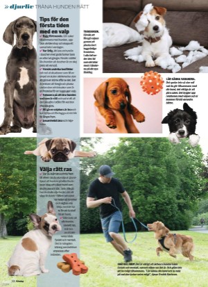 aftonbladet_sondag-20210704_000_00_00_012.pdf