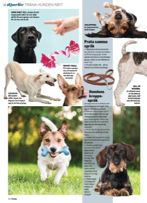 aftonbladet_sondag-20210704_000_00_00_014.pdf