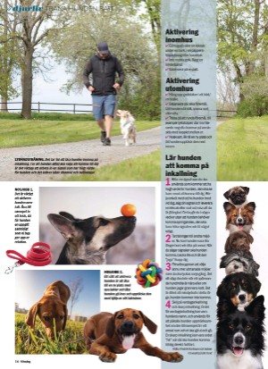 aftonbladet_sondag-20210704_000_00_00_016.pdf