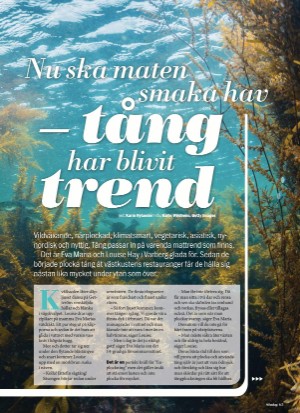 aftonbladet_sondag-20210725_000_00_00_065.pdf