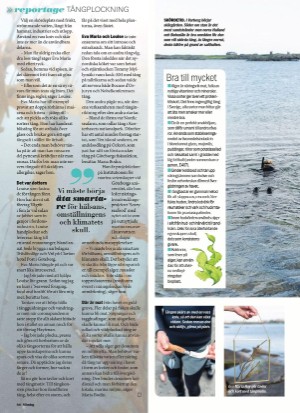 aftonbladet_sondag-20210725_000_00_00_066.pdf