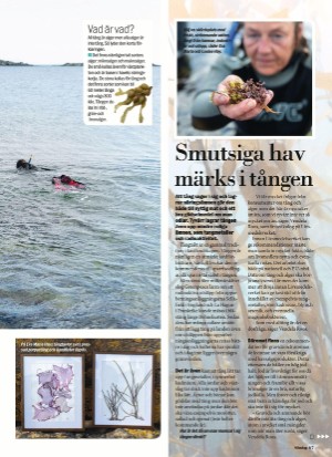 aftonbladet_sondag-20210725_000_00_00_067.pdf