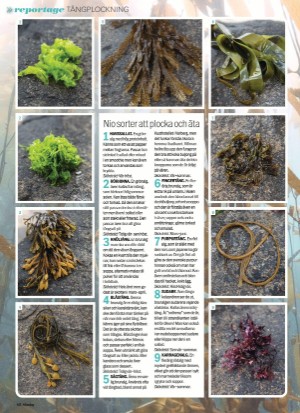 aftonbladet_sondag-20210725_000_00_00_068.pdf