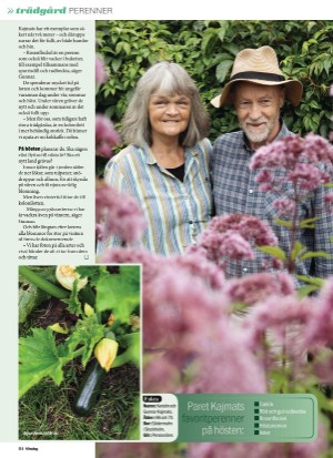 aftonbladet_sondag-20210912_000_00_00_084.pdf