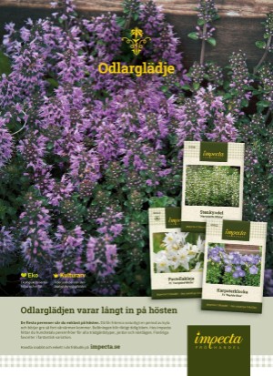 aftonbladet_sondag-20210912_000_00_00_085.pdf