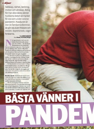 aftonbladet_sondag-20211031_000_00_00_012.pdf