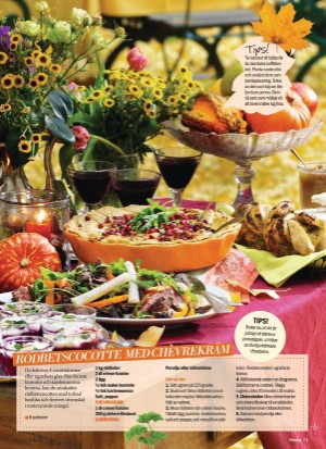 aftonbladet_sondag-20211031_000_00_00_071.pdf