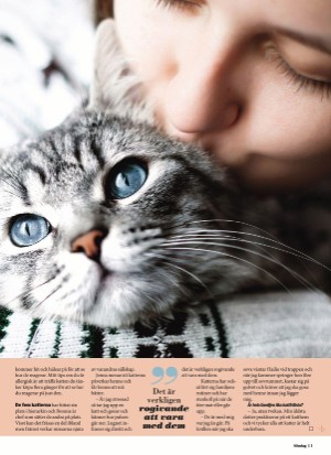 aftonbladet_sondag-20211128_000_00_00_011.pdf