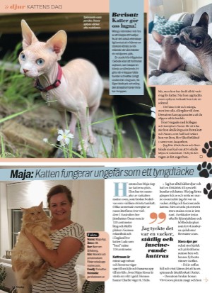 aftonbladet_sondag-20211128_000_00_00_014.pdf