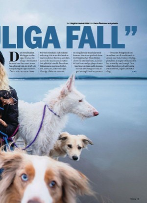 aftonbladet_sondag-20220220_000_00_00_011.pdf