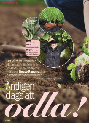 aftonbladet_sondag-20220327_000_00_00_080.pdf
