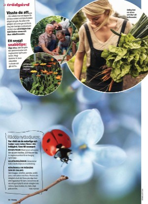 aftonbladet_sondag-20220327_000_00_00_086.pdf
