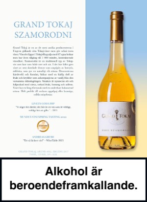 aftonbladet_sondag-20220619_000_00_00_100.pdf